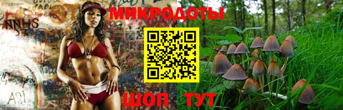 Зерноград  Псилоцибиновые грибы Magic Shrooms  Вход с VPN  Галлюциногенные грибы ЛСД 